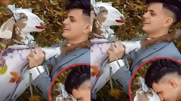 will marry a goat 