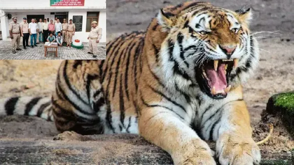 lakhimpur kheri forest department