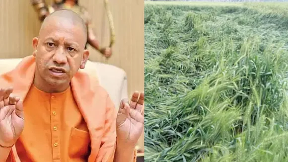 CM Yogi for farmers
