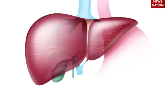 World Liver Day 2025