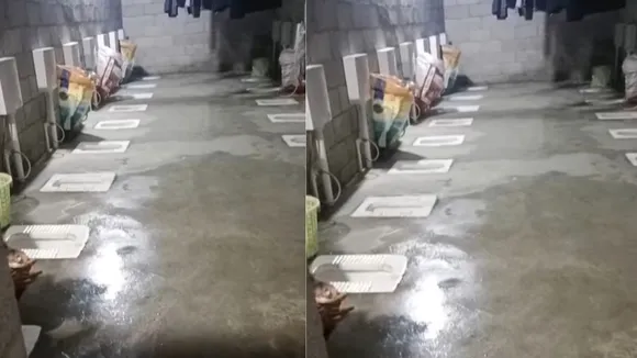 VIRAL TOILETS