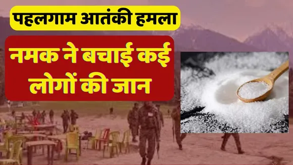 Salt safe many lifes pahalgam terrorist attack