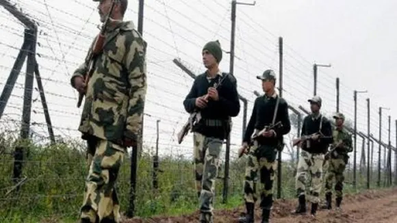 bsf news update