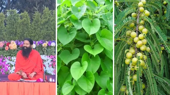Baba Ramdev Ayurveda Tips