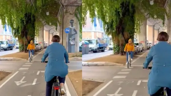 VIRAL BRIDGE VIDEO