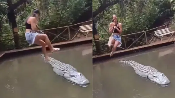 Viral Crocodile news today