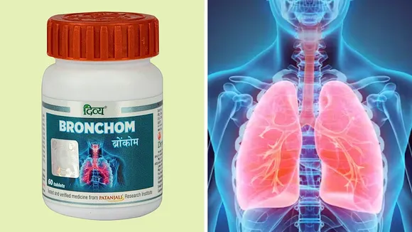 Bronchom and lungs