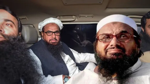 hafiz syed