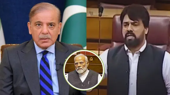 Pak MP slams Shehbaz Sharif calling him a jackal gave a big statement on PM Modi as well
