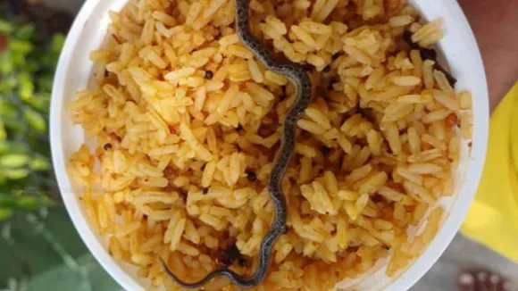 Tamil Nadu Chandra Choodeshwara temple Prasad Dead Snake