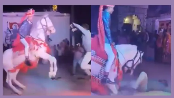 Horse Dance Video Viral