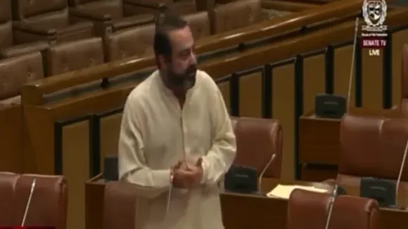 Pakistani Senator Explains Indian Hard Hitting of Pakistan Airbases Big Slap on Shahbaz Sharif Operation Sindoor  