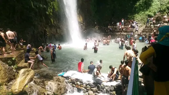 Dehradun tiger fall accident
