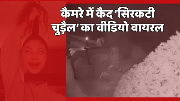 Sirkati chudail video viral