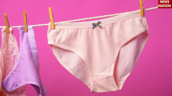  Panty