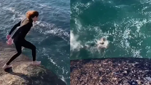 viral news sea 