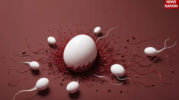 Sperm Quality