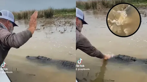 viral man slap crocodile viral video