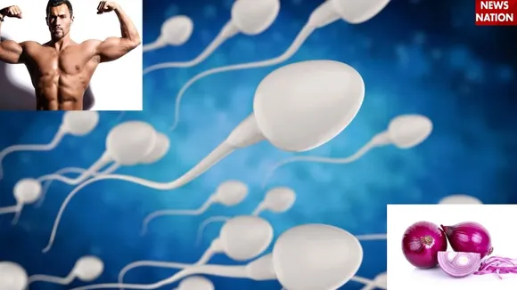 Sperm Quality (3)