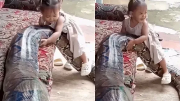 viral python with baby girl
