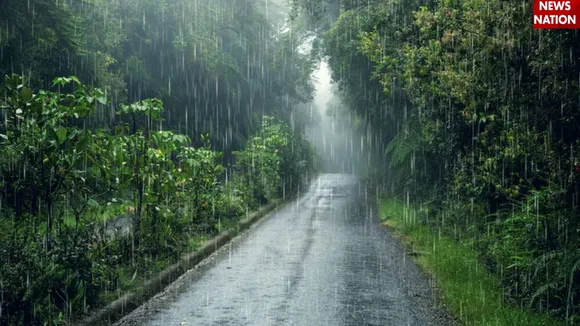 Monsoon Tips