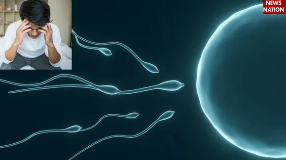 Sperm Count (1)