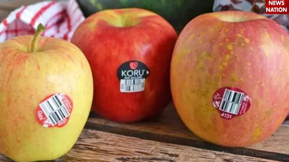 Fruit codeword (3)