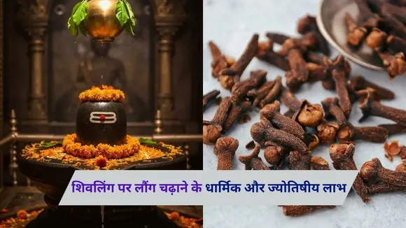 Clove on Shivling