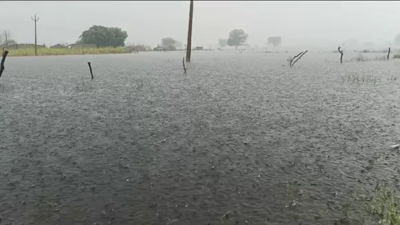 Dholpur heavy rain