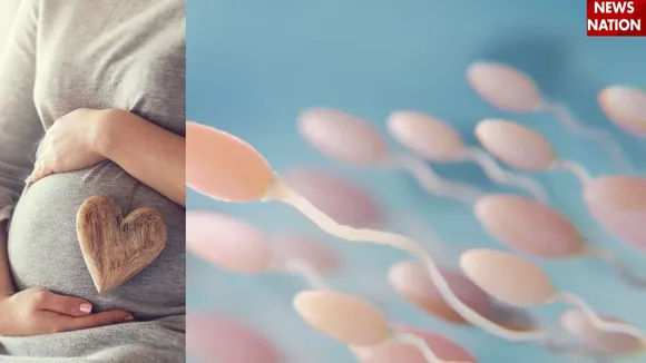 sperm count (2)