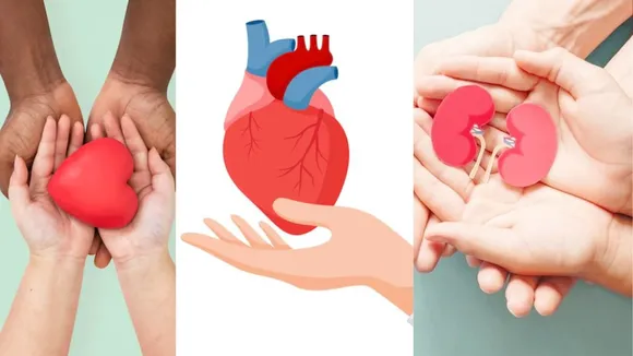 body parts