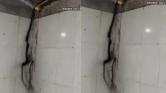 snake shoot video