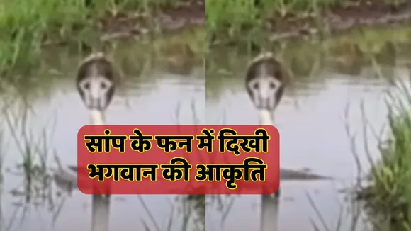 Snake with Lord Vitthal