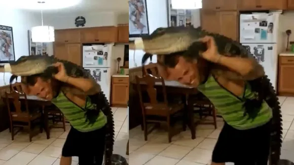 viral dance video crocodile