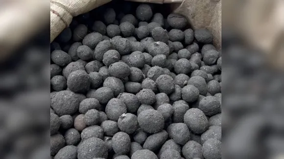 Pilibhit Katrua Kand