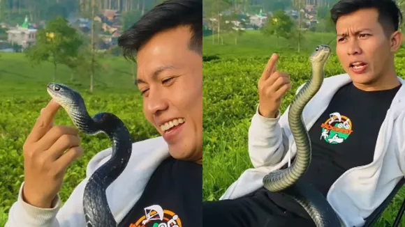 snake dance video