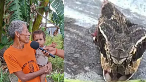 viral cobra video (1)