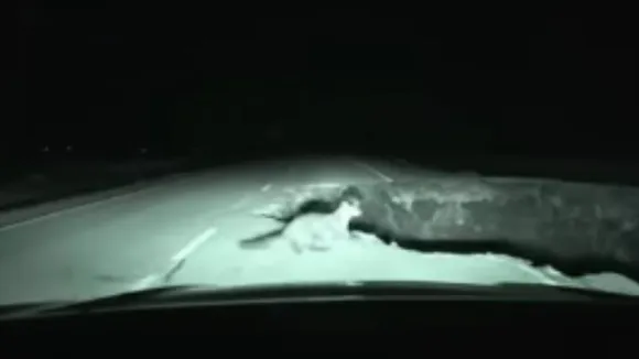 viral accident video on social media (1)