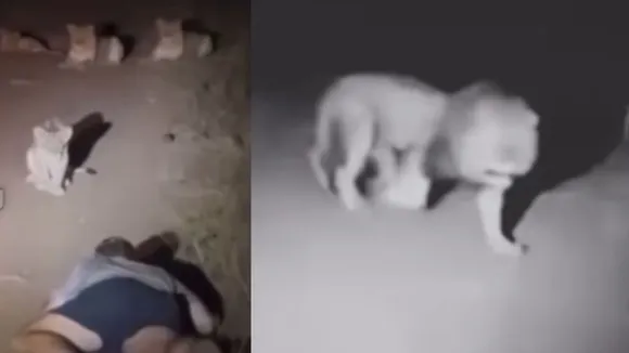 viral video on social media (12)