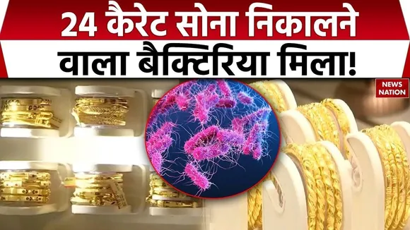 Gold From bacteria