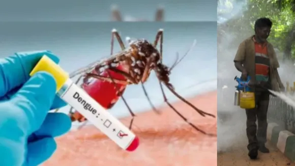 dengue Case in Delhi