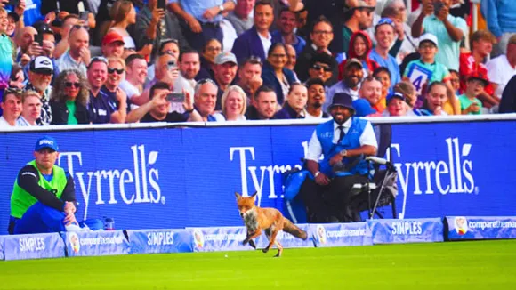 Fox interrupts london spirit vs oval invincibles the hundred match
