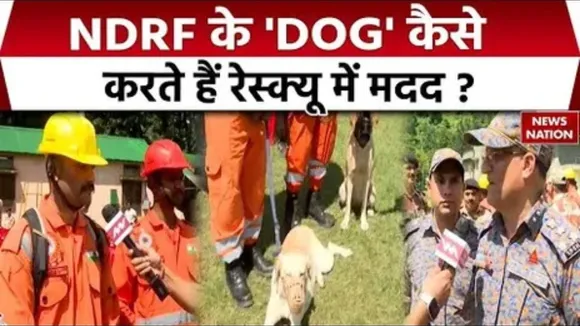 Dharali Ground Report