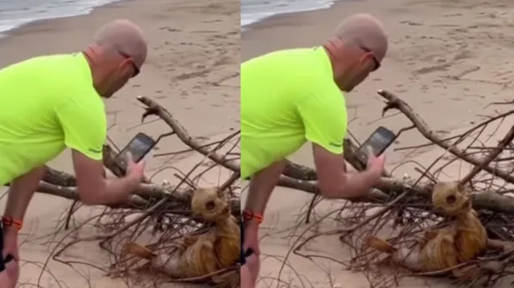 viral video sea
