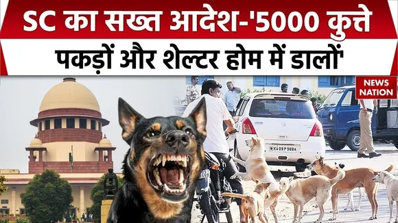 Operation Street Dogs