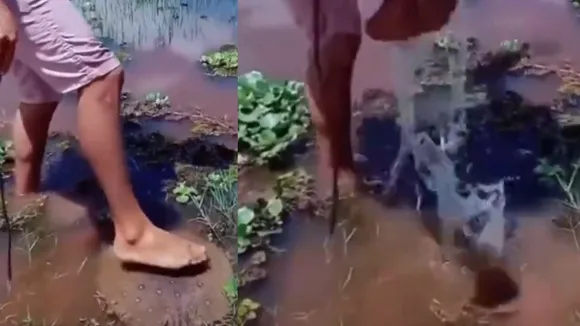 viral video (8)
