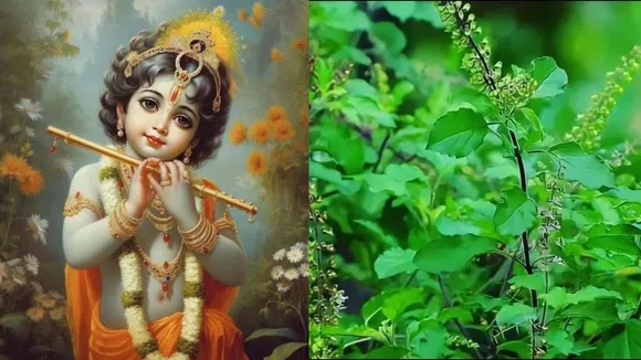 krishna janmashtami 2025 (6)