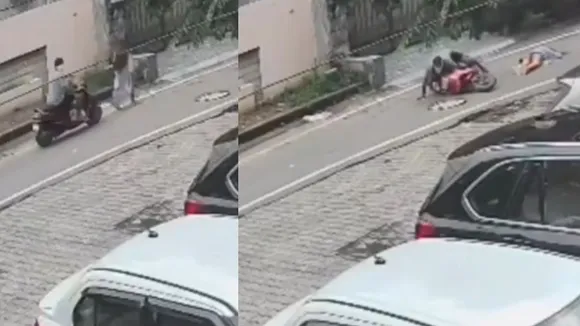 viral video  looting
