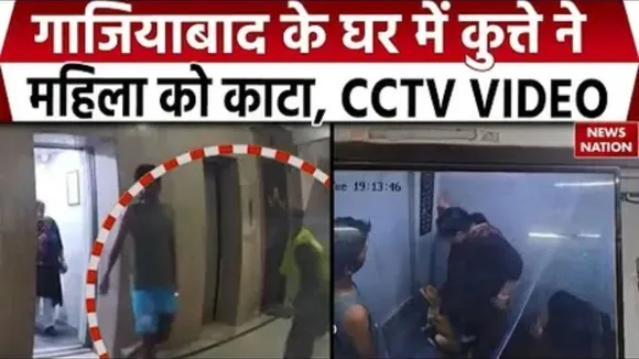 Dog bite in Ghaziabad