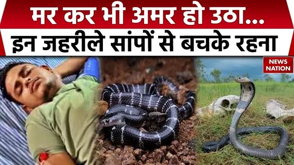 Deadly Snakes in India